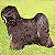 Tibetan Terrier WebRing