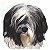 Tibetan Terrier WebRing